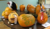 [ First Annual Pumpkin Carving Contest ]