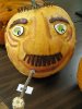 [ First Annual Pumpkin Carving Contest ]