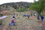 [ GPR 2nd Annual Coin Hunt and Prospecting Outing, May 22, 2004 ]