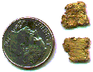 [Two nuggets taken from the Arkansas River.]